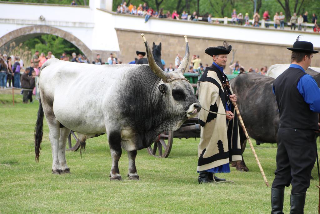 Hortobágyi Kemencés Vendégház Esterno foto